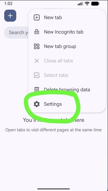 Settings option in the Chrome menu